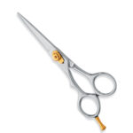 Professional Hair Cutting Scissors