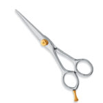 Professional Hair Cutting Scissors