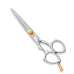 Professional Hair Cutting Scissors