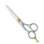 Professional Hair Cutting Scissors