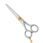 Professional Hair Cutting Scissors