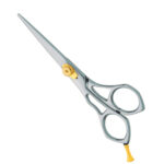Professional Hair Cutting Scissors