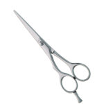 Professional Hair Cutting Scissors