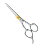 Professional Hair Cutting Scissors