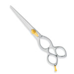 Professional Hair Cutting Scissors