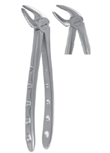 Extracting Forcep AD-1001